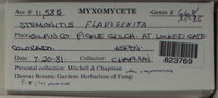 Image Associated With the Occurence